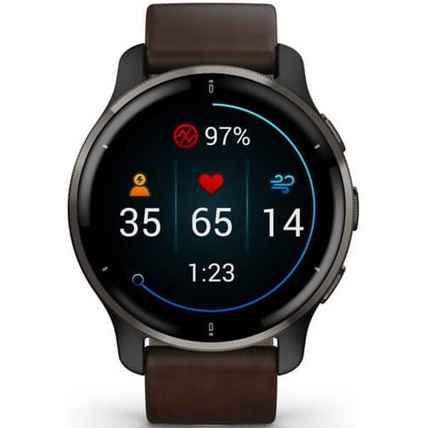 Chytré hodinky Garmin Venu 2 Plus - Slate/ Brown Leather Band 

