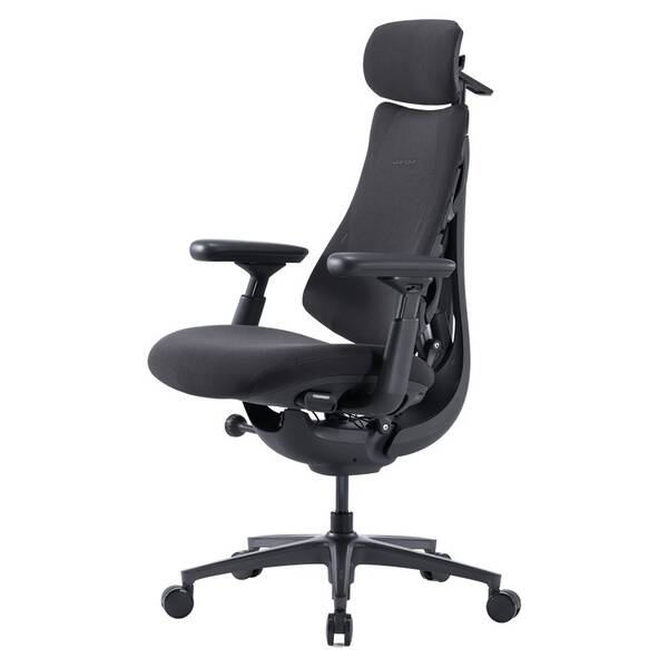 Ergonomická židle LiberNovo Omni Pro Graphite, 48cm grafitová

