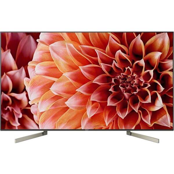 Televize Sony KD-65XF9005 černá

