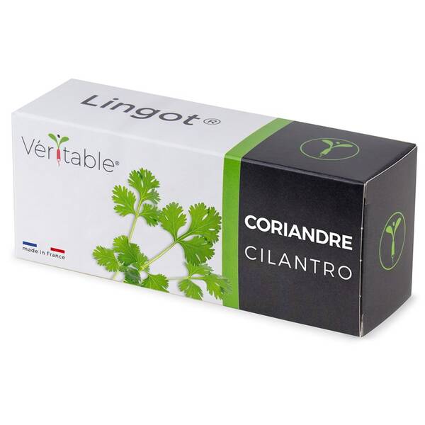 Semínka Véritable Lingot Koriandr 

