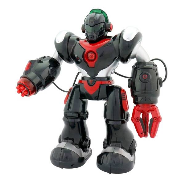 Robot MaDe Hektor 
