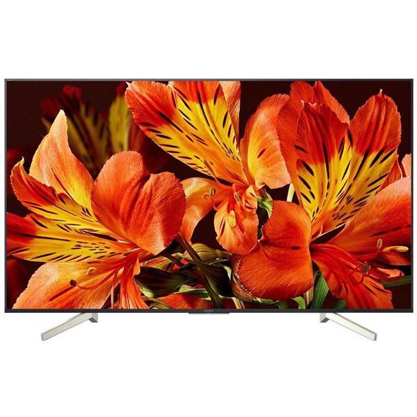 Televize Sony KD-55XF8505 

