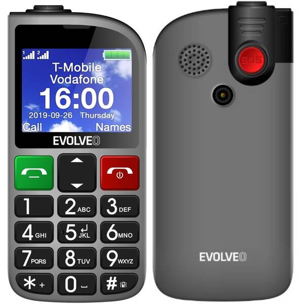 Mobilní telefon Evolveo EasyPhone FM stříbrný

