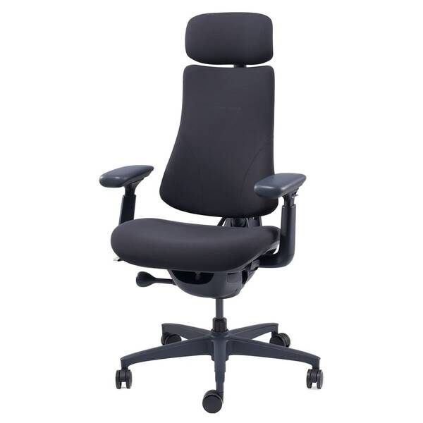 Ergonomická židle LiberNovo Omni, 48 cm černá

