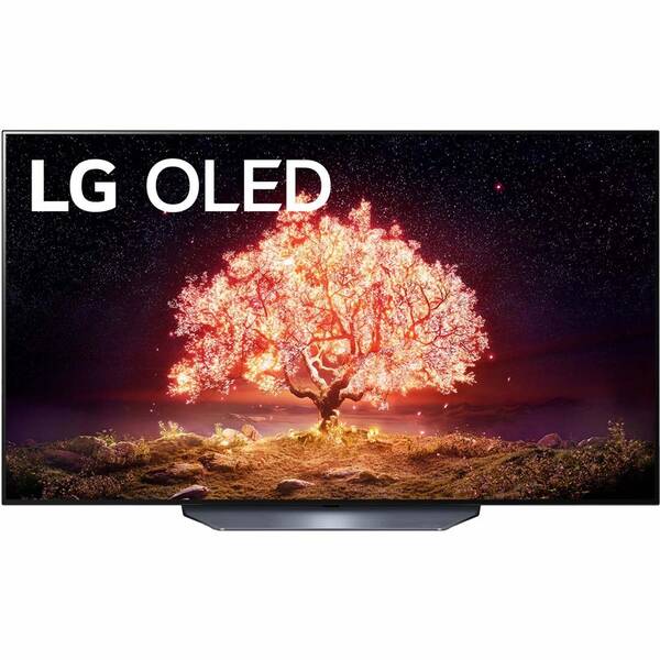 Televize LG OLED65B1 

