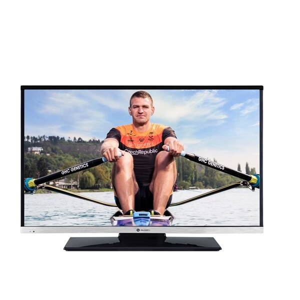 Televize GoGEN TVH 24N484 STDVDC 
