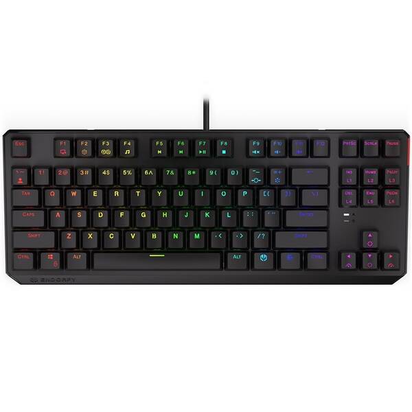 Klávesnice ENDORFY Thock TKL Kailh Brown, RGB, CZ/SK layout černá

