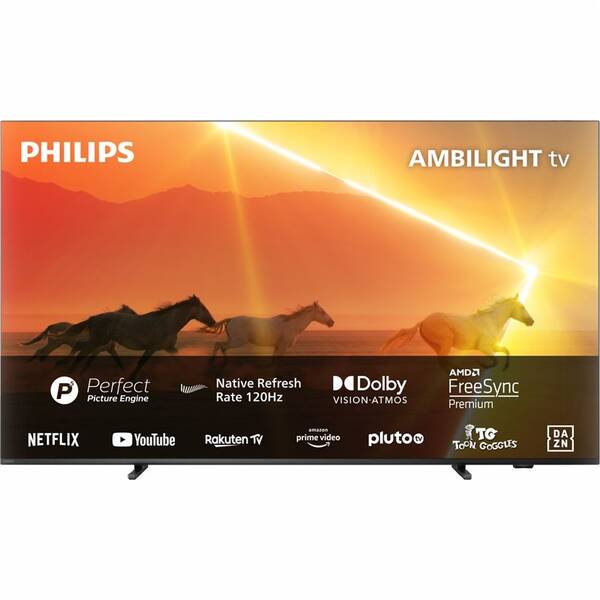 Televize Philips 55PML9008 
