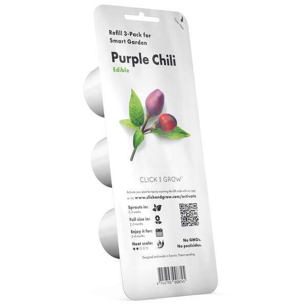 Semínka Click and Grow Fialové chilli (3 ks) 

