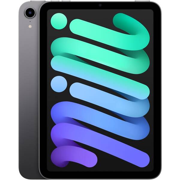 Dotykový tablet Apple iPad mini (2021) Wi-Fi 256GB - Space Grey 

