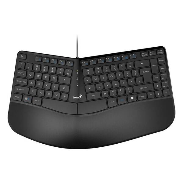 Klávesnice Genius Ergo KB-700, Copilot, CZ/SK layout černá

