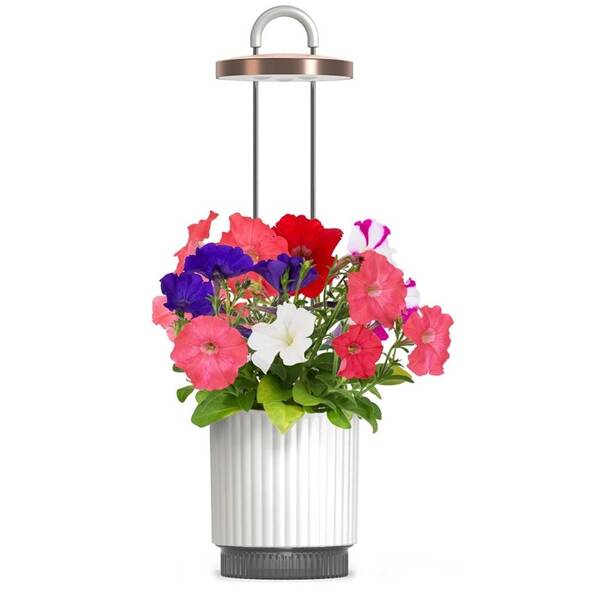 Chytrý květináč Click and Grow HydroVase bílý

