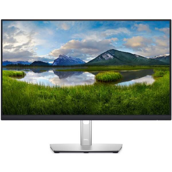 Monitor Dell Professional P2422H černý/stříbrný

