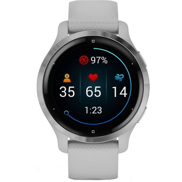 Chytré hodinky Garmin Venu 2S - Silver/Gray Band 

