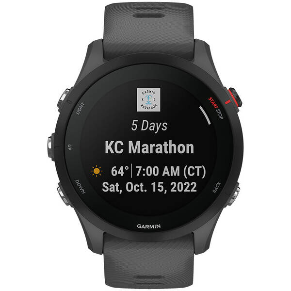 Chytré hodinky Garmin Forerunner 255 šedé

