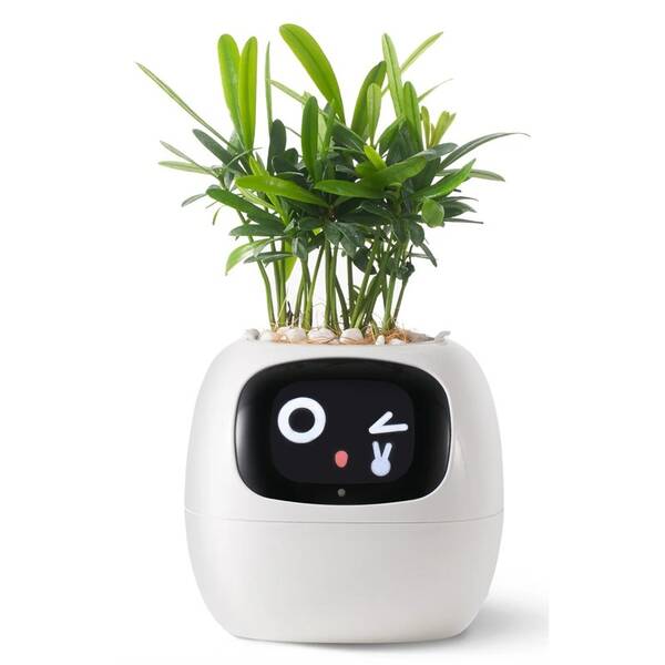 Chytrý květináč Plantsio IVY bílý

