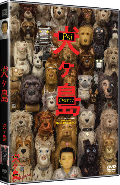 DVD BONTONFILM  

