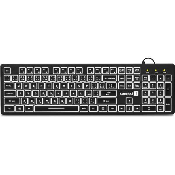 Klávesnice Connect IT CKB-4041-CS, CZ/SK 

