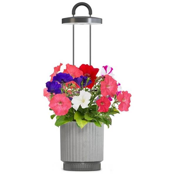 Chytrý květináč Click and Grow HydroVase šedý

