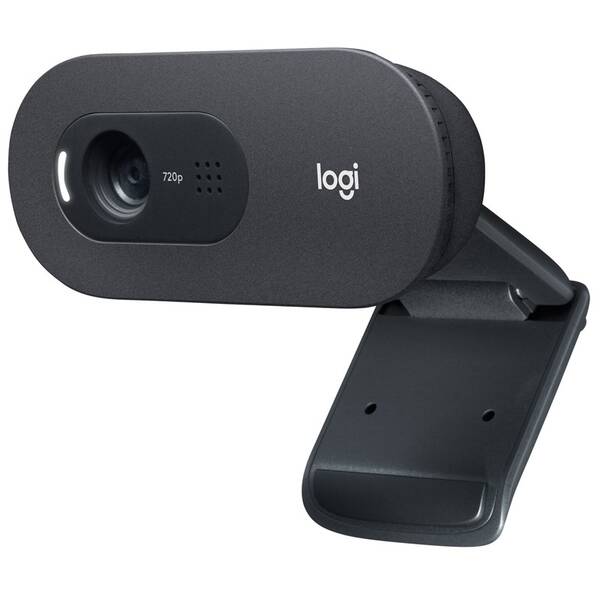 Webkamera Logitech C505 HD černá


