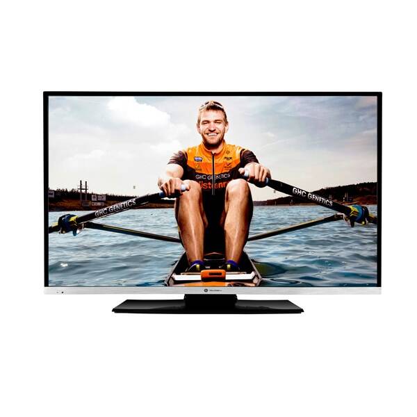Televize GoGEN TVF 40R384 STWEB černá

