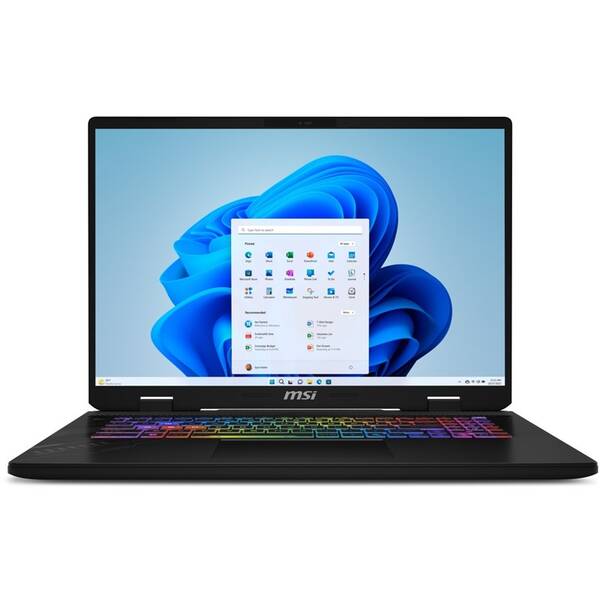 Notebook MSI Crosshair 17 HX AI D2XWGKG-039CZ šedý

