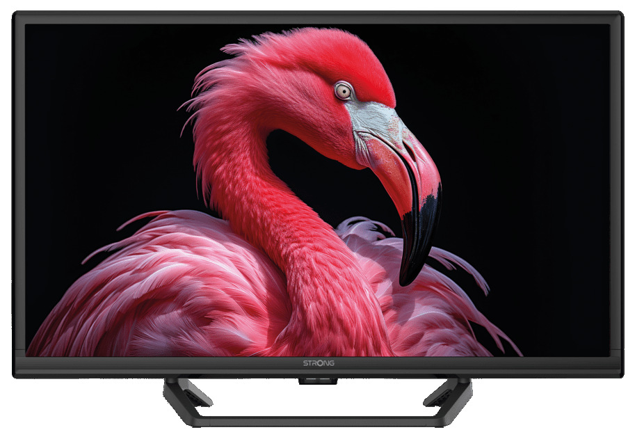 Televize Strong SRT24HG4723C