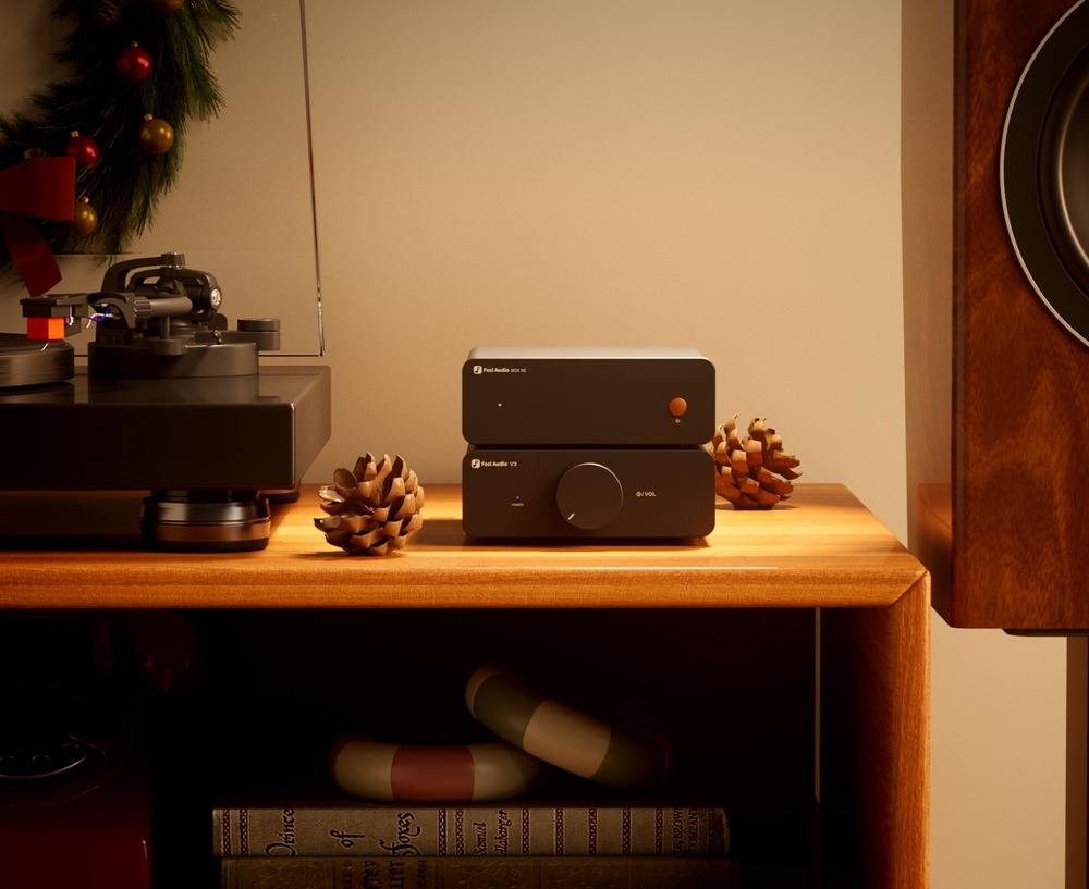 Gramofonový předzesilovač Fosi Audio Box X5 černý Detail zapojení zesilovače V3 a předzesilovače Fosi Audio Box X5