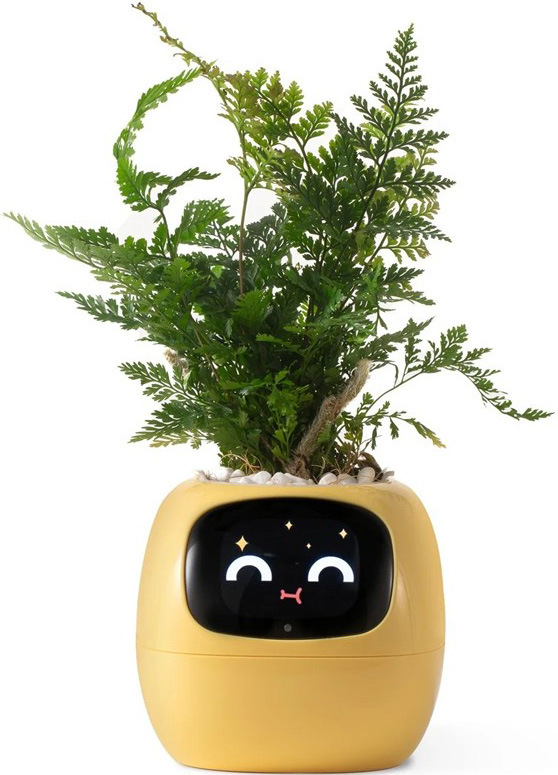 Chytrý květináč Plantsio IVY - žlutá
