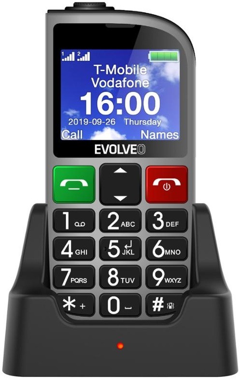 Mobilní telefon Evolveo EasyPhone FM stříbrný