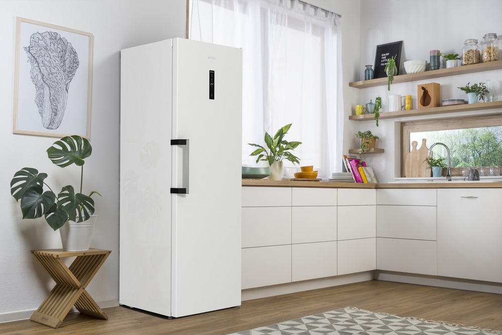 Mraznička Gorenje FN619EAW6, šuplíková