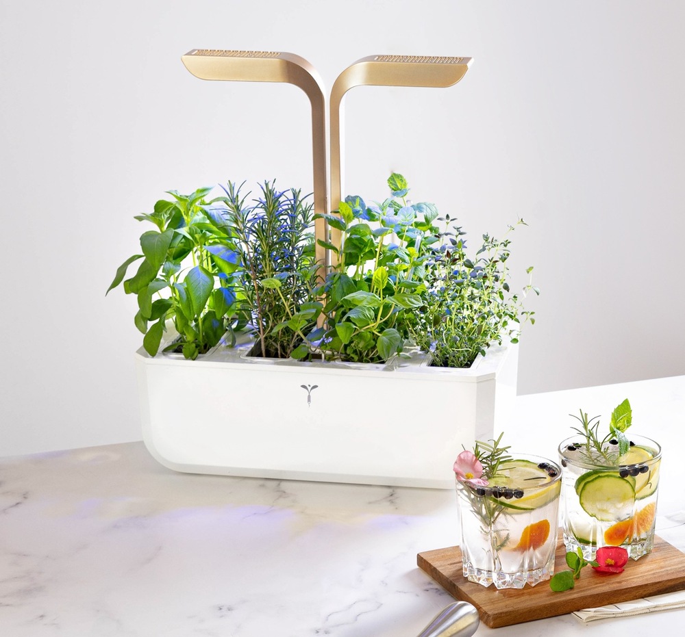 Chytrý květináč Véritable CONNECT bílý/champagne Chytrý květináč Véritable CONNECT v kuchyni
