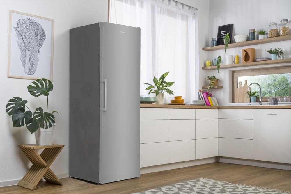 Mraznička Gorenje Essential FN619FES5 nerez