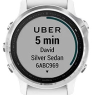 Chytré hodinky Garmin fenix6S Glass stříbrné/bílé