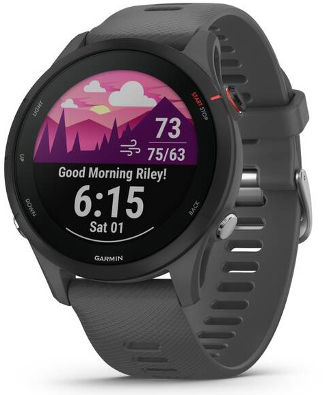 Chytré hodinky Garmin Forerunner 255 šedé