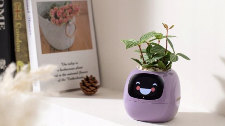 Chytrý květináč Plantsio IVY fialový Chytrý květináč Plantsio IVY - fialová