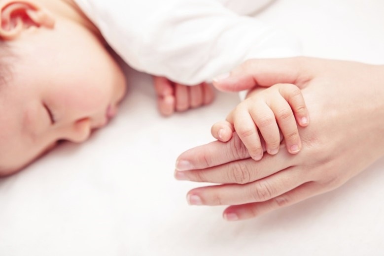 Chladnička s mrazničkou Gorenje G600 NRB62C6X4WFE nerez Gorenje chladnička NRB62C6X4WFE, nerez, tichý chod