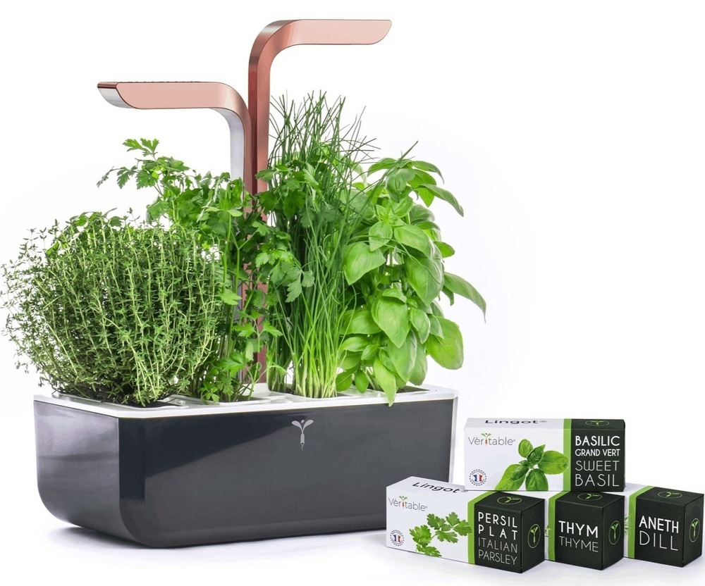 Chytrý květináč Véritable SMART s ukázkou sazenic