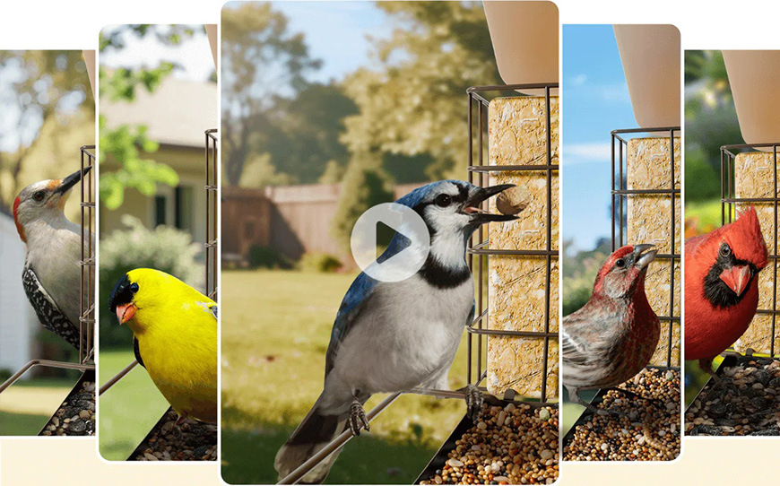 Ptačí krmítko Birdfy Metal V, kovové s kamerou a solárním panelem (AI předplatné) - hnědé