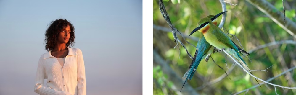 Digitální fotoaparát Sony Alpha 6700 + E 18-135 mm OSS černý Sony α6700