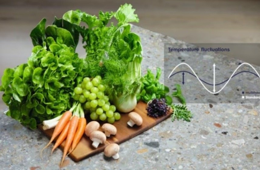 Chladnička s mrazničkou Electrolux 600 Twintech ENT6ME19S bílá