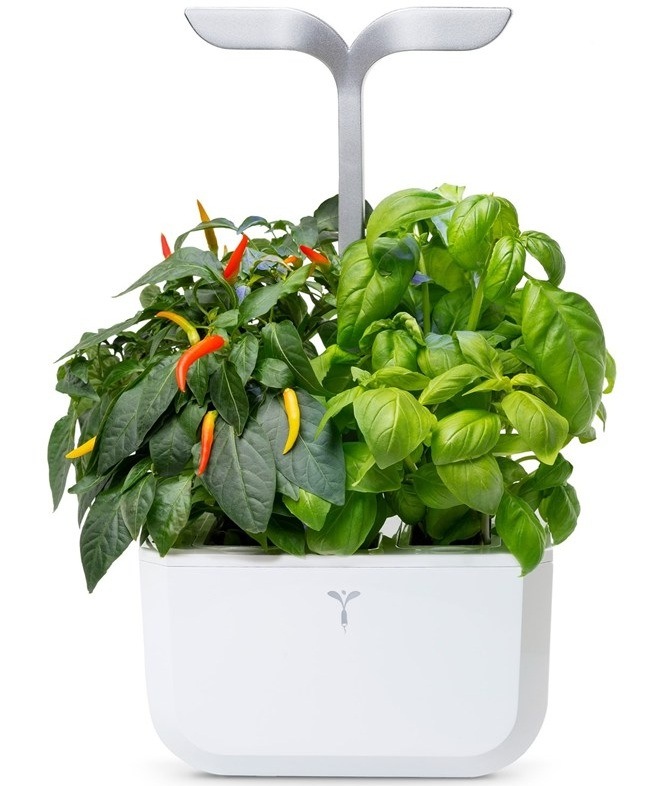 Chytrý květináč Véritable Exky SMART s vypěstovanými bylinkami