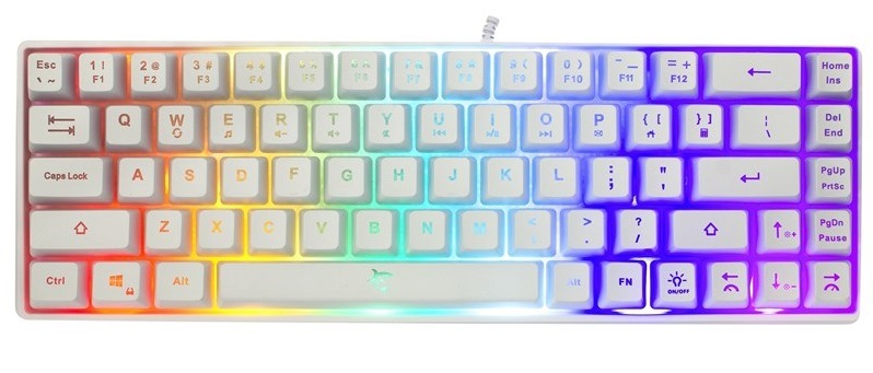 Klávesnice White Shark RONIN, US layout bílá