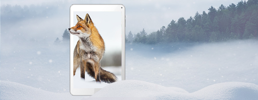 Dotykový tablet Umax VisionBook 10Qi 3G bílý