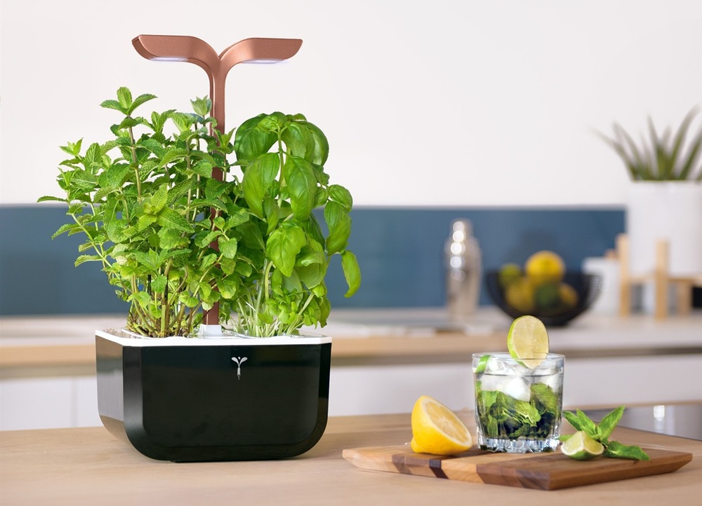 Chytrý květináč Véritable Exky SMART v reálné kuchyni
