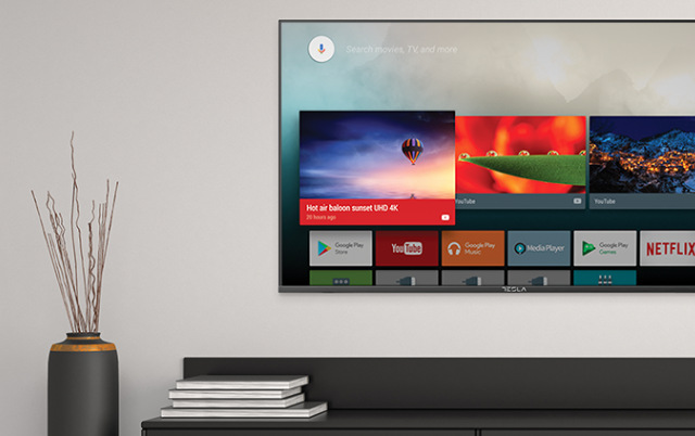 Televize TESLA 55E635SUS