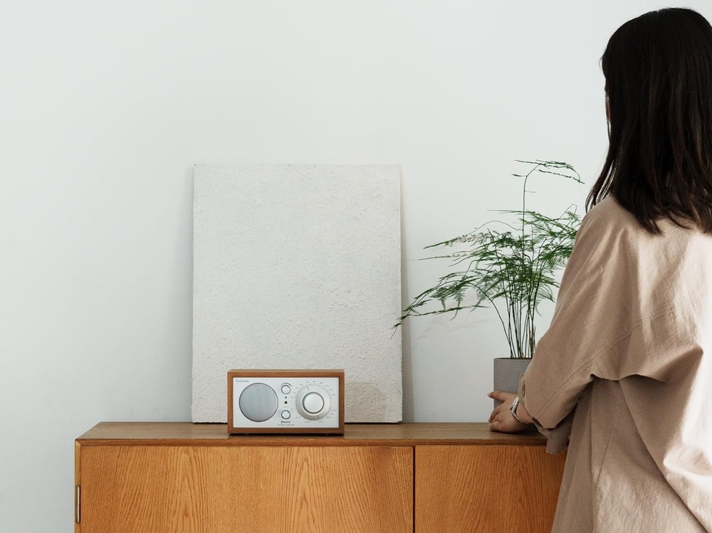Radiopřijímač Tivoli Audio Model One BT stříbrný/hnědý Radiopřijímač Tivoli Audio Model One BT stříbrný/hnědý