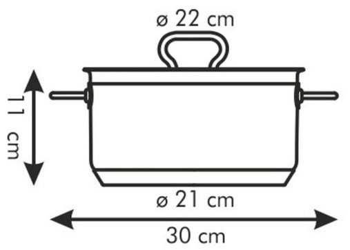 Kastrol s poklicí Tescoma HOME PROFI 22 cm, 4,0 l nerez
