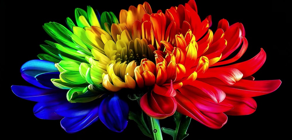 Micro RGB využívá extrémně malé LED pro přesné řízení jasu, barev i kontrastu každého pixelu.