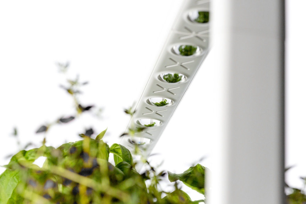 Chytrý květináč Click and Grow Smart Garden 9 tmavě modrý Detail LED osvětlení květináče.
